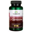 SWU118 $230 60粒 Swanson Ultra Carnosine 500MG 強效肌肽 抗氧化
